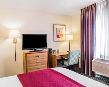 Room, 1 Queen Bed, Non Smoking