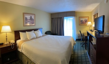 Room, 1 King Bed, Non Smoking (North Tower)