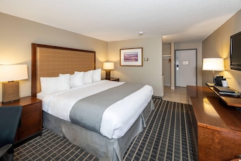 Standard Room, 1 King Bed, Non Smoking