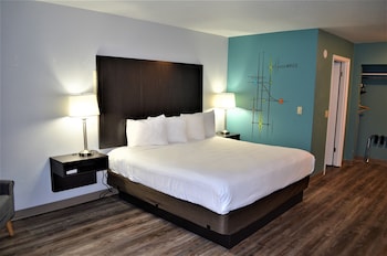 Standard Room, 1 King Bed, Non Smoking