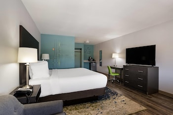 Standard Room, 1 King Bed, Non Smoking (Larger Room)