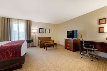 Suite, 1 King Bed, Non Smoking