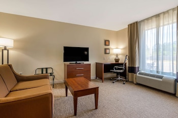 Suite, 1 King Bed, Non Smoking