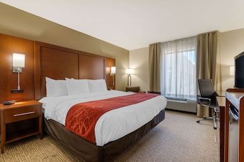 Room, 1 King Bed, Accessible, Non Smoking