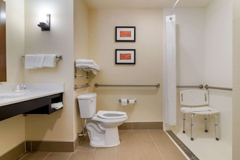 Room, 1 King Bed, Accessible, Non Smoking
