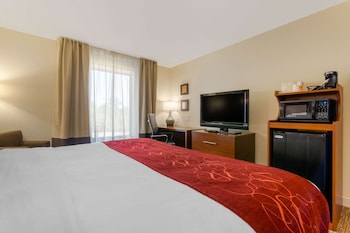 Room, 1 King Bed, Accessible, Non Smoking