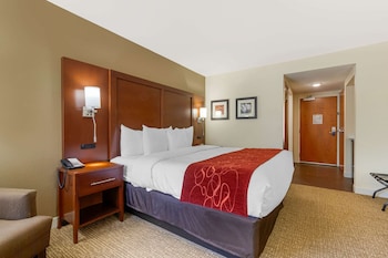 Standard Room, 1 King Bed, Non Smoking