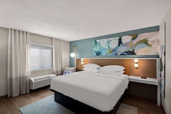 Room, 1 King Bed, Non Smoking
