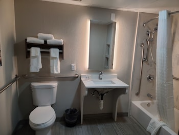 Room, 1 King Bed, Accessible, Non Smoking