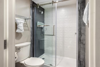 Standard Room, 1 King Bed with Sofa bed, Non Smoking, Refrigerator & Microwave (with Sofabed)