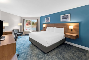 Standard Room, 1 King Bed, Non Smoking
