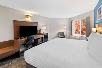 Standard Room, 1 King Bed, Non Smoking
