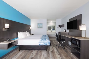 Room, 1 King Bed, Non Smoking