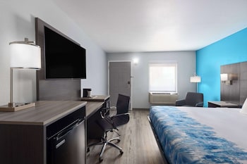 Deluxe Room, 1 King Bed, Non Smoking