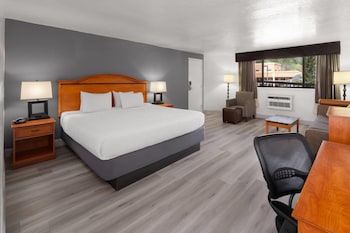 Deluxe Suite, 1 King Bed, Non Smoking