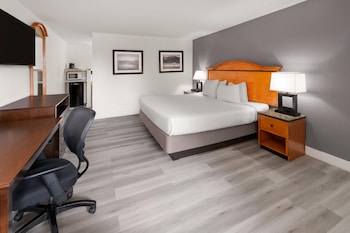 Deluxe Suite, 1 King Bed, Non Smoking