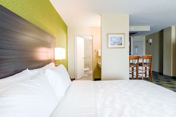 Suite, 1 King Bed
