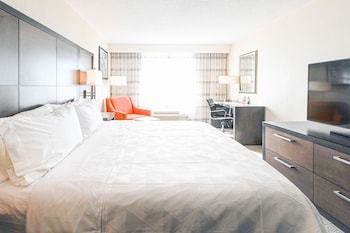 Suite, 1 King Bed (Walk-In Shower)