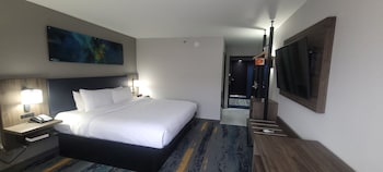 Room, 1 King Bed, Accessible, Non Smoking