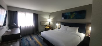 Room, 1 King Bed, Accessible, Non Smoking