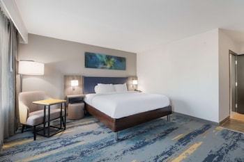 Room, 1 King Bed, Non Smoking (Upgrade)