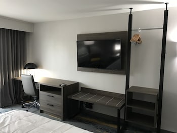 Suite, 1 King Bed with Sofa bed, Non Smoking