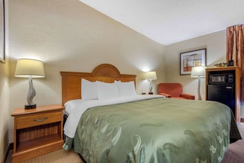 Room, 1 King Bed with Sofa bed, Non Smoking