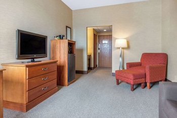 Room, 1 King Bed with Sofa bed, Non Smoking