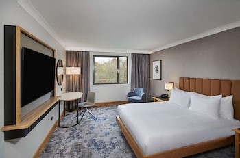 Room, 1 Queen Bed