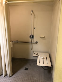 Room, 1 Twin Bed, Accessible