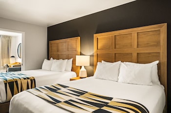 Executive 2 Queen Suite