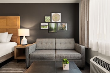 King Suite Sleeper Sofa