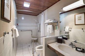 Signature Room, 1 King Bed, Accessible