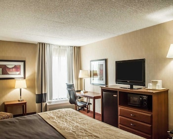 Standard Room, 1 King Bed, Non Smoking