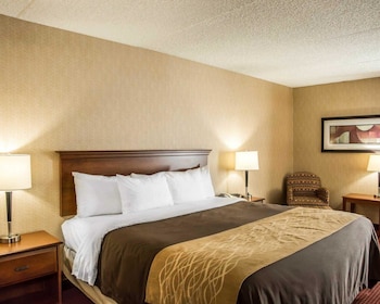Standard Room, 1 King Bed, Non Smoking
