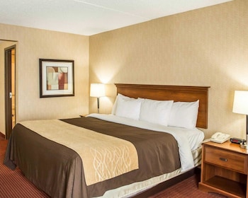 Standard Room, 1 King Bed, Non Smoking