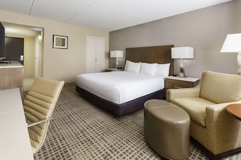 Room, 1 King Bed, Accessible, Non Smoking (Roll-in Shower)