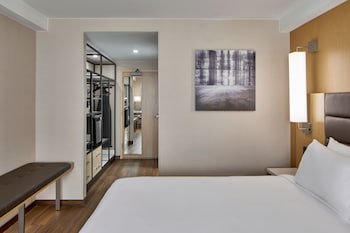 Room, 1 King Bed with Sofa bed, Hearing Accessible (Roll-in Shower)