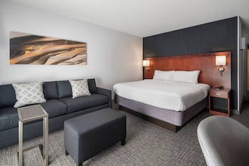 Room, 1 King Bed with Sofa bed