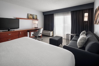 Room, 1 King Bed with Sofa bed