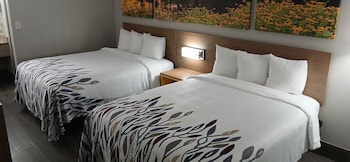 Deluxe Room, 2 Queen Beds, Smoking