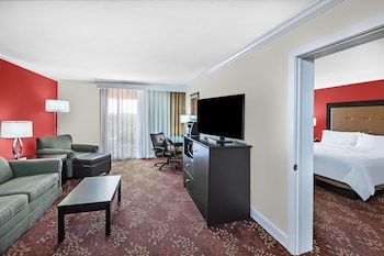 Standard Room, 1 King Bed with Sofa bed