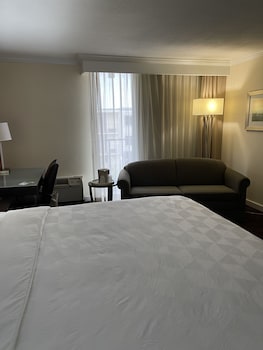 Standard Room, 1 King Bed with Sofa bed