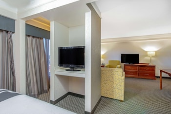 Suite, 1 King Bed