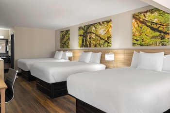 Room, Multiple Beds, Non Smoking (Upstairs, No Elevator)