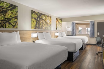 Room, Multiple Beds, Non Smoking (Upstairs, No Elevator)