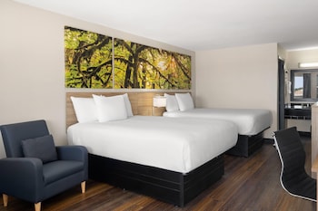 Room, 2 Queen Beds, Non Smoking