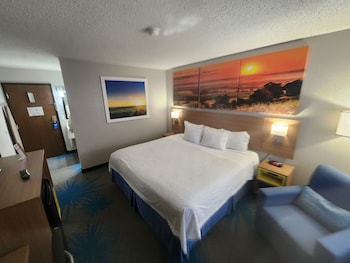 Room, 1 King Bed, Non Smoking