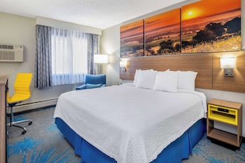 Room, 1 King Bed, Non Smoking