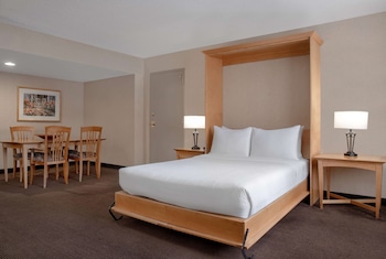 Suite (1 Murphy Bed, 1 Room)